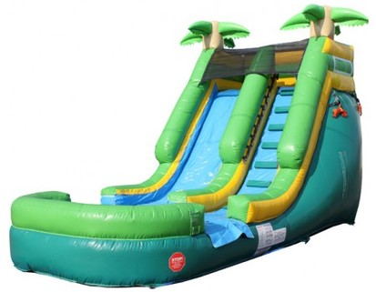 paradise-slide-wet-dry-inflatable-bounce-arizona